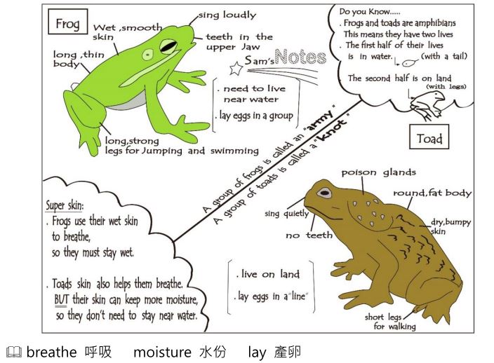 常見英文素養題範例