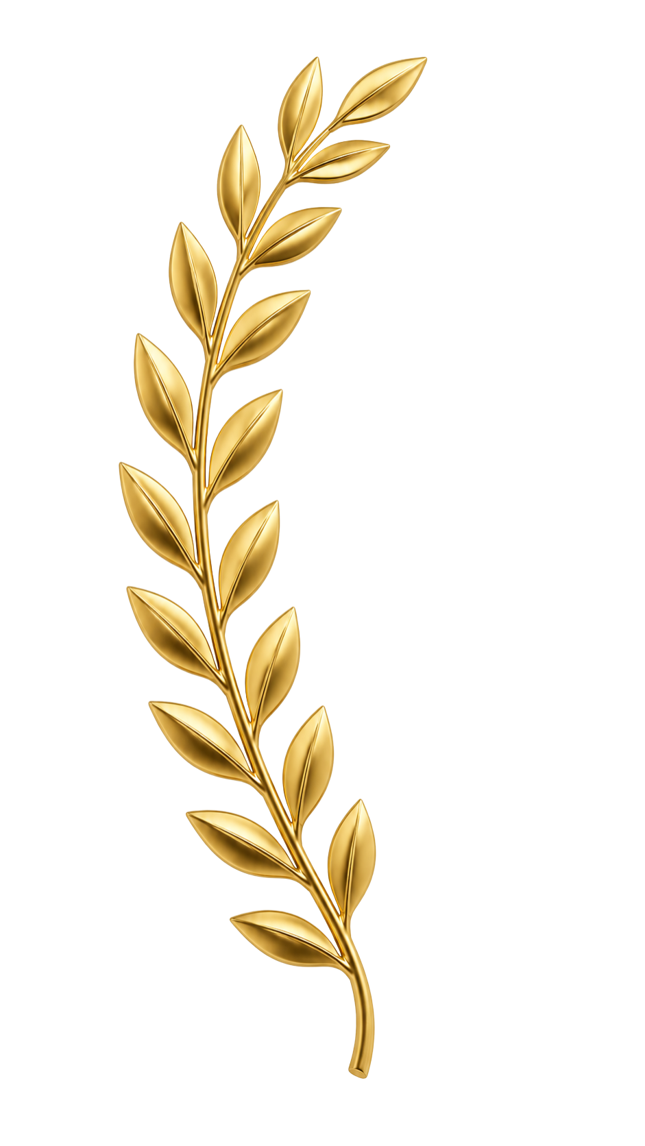 laurel